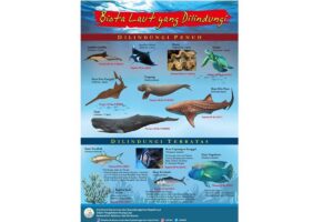 Hewan Laut Ikan School Master: Pengantar ke Dunia Biota Laut