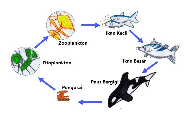Hewan Laut Ikan Tagih: Jenis, Habitat, dan Peran Ekosistem