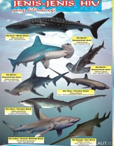 Mengenal Ikan Lampam, Spesies Hiu Laut yang Menarik