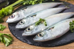 Mengenal Ikan Mackerel: Ciri, Habitat, dan Manfaatnya
