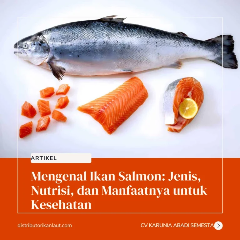 Hewan Laut Ikan Salmon: Karakteristik dan Peran Ekosistem