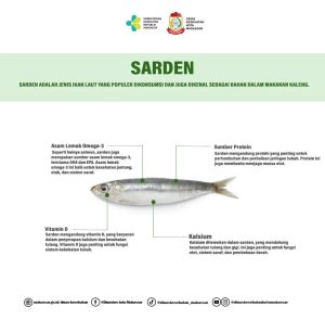 Hewan Laut Ikan Sarden: Karakteristik dan Peran Ekosistem