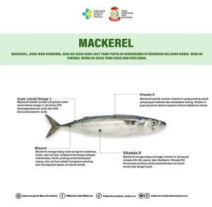 Ikan Mackerel: Karakteristik dan Peran dalam Ekosistem Laut