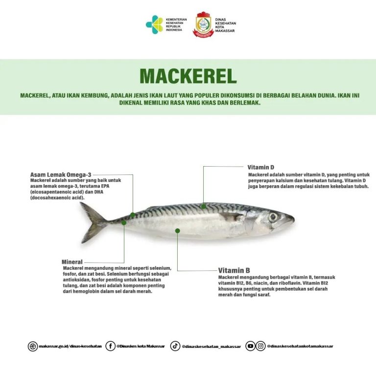 Ikan Mackerel: Karakteristik dan Peran dalam Ekosistem Laut