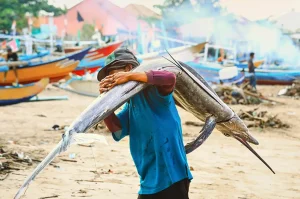 Ikan Todak (Marlin): Spesies Laut yang Menakjubkan dan Unik