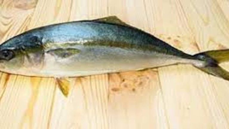 Mengenal Ikan Ciling-Ciling: Hewan Laut Unik dan Menarik