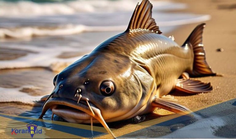 Hewan Laut Ikan Lele Laut: Karakteristik dan Peran Ekosistem