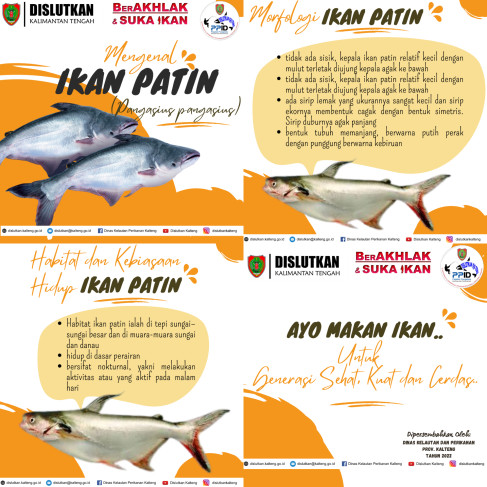 Hewan Laut Ikan Patin: Karakteristik dan Habitatnya