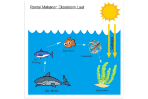 Hewan Laut Ikan Sarden: Karakteristik dan Peran Ekosistem