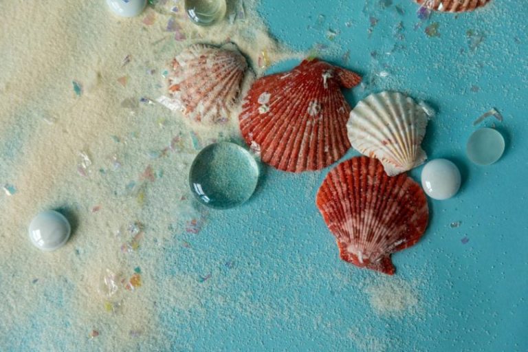 Mengenal Kerang: Hewan Laut Kerang dan Peran Ekosistemnya