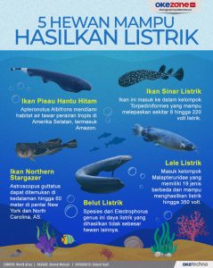 Hewan Laut Ikan Stargazer: Ciri-ciri dan Habitatnya