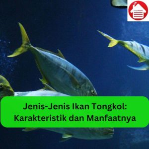 Hewan Laut Ikan Tongkol: Karakteristik dan Peran Ekosistem