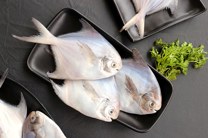 Ikan Bawal Laut: Hewan Laut yang Kaya Nutrisi dan Manfaat