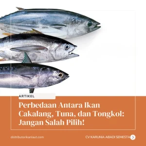 Ikan Cakalang: Hewan Laut yang Berperan Penting di Ekosistem