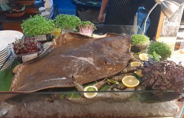 Ikan Pari Keprak: Olahan Laut yang Lezat dan Segar