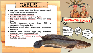 Mengenal Ikan Gabus Laut: Karakteristik dan Kehidupannya