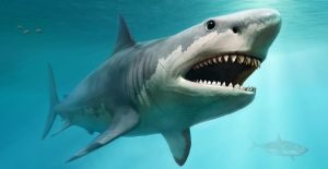 The Megalodon: An Ancient Giant of the Ocean