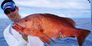 Ikan Kakap Kubera: Hewan Laut yang Menjadi Favorit Penangkapan