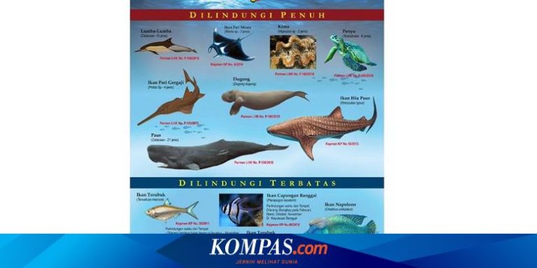 Mengenal Hewan Laut Ikan Daun: Spesies Unik dari Lautan Indonesia