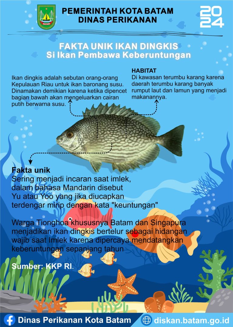 Mengenal Ikan Baronang: Hewan Laut yang Menarik dan Unik
