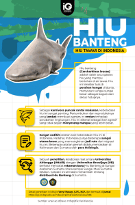Hewan Laut Ikan Hiu Banteng: Karakteristik dan Habitatnya
