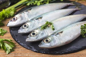 Ikan Mackerel: Hewan Laut yang Kaya Manfaat dan Nutrisi