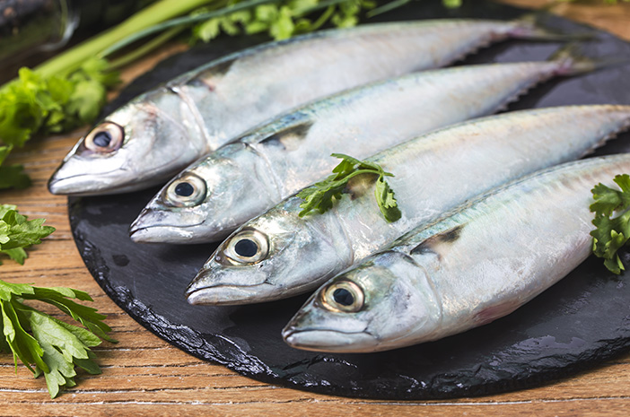 Ikan Mackerel: Hewan Laut yang Kaya Manfaat dan Nutrisi