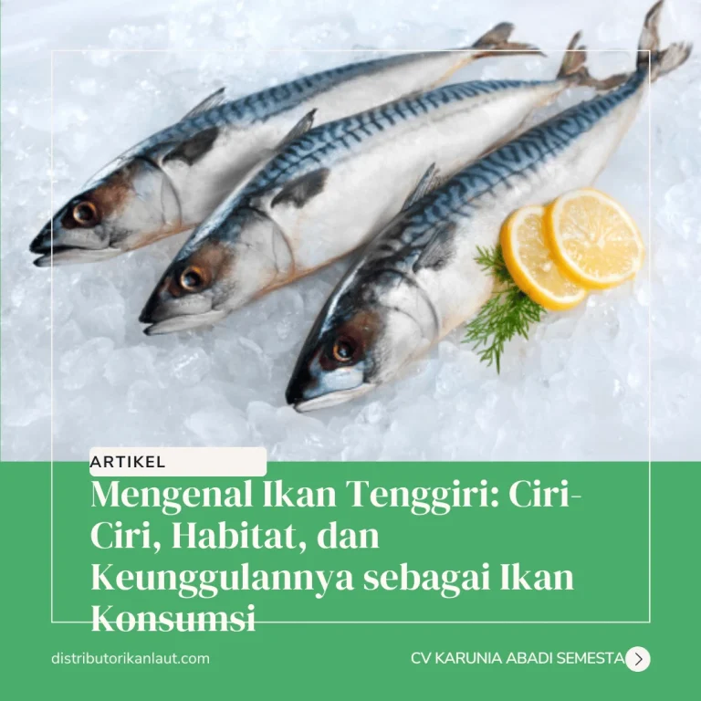 Ikan Tenggiri Batang: Karakteristik dan Habitat Hewan Laut