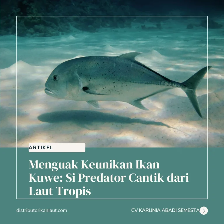 Hewan Laut Ikan Kuwe Efloridaxu: Karakteristik dan Habitatnya