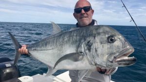 Ikan Kuwe Mata Besar: Keunikan dan Peranannya di Lautan