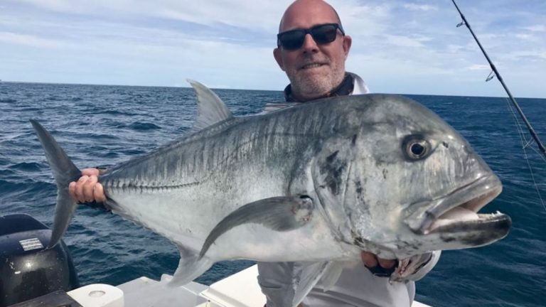 Ikan Kuwe Mata Besar: Keunikan dan Peranannya di Lautan