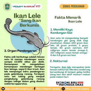 Mengenal Hewan Laut Ikan Lele: Karakteristik dan Habitatnya