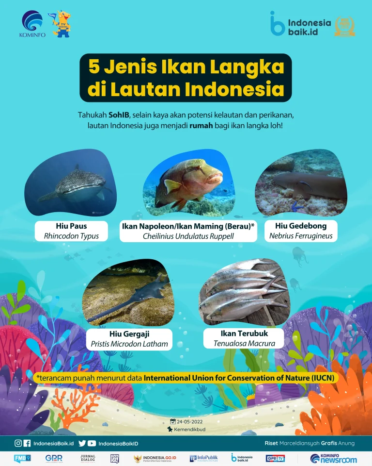 Mengenal Hewan Laut Ikan Tatihu: Spesies Unik dari Lautan Indonesia